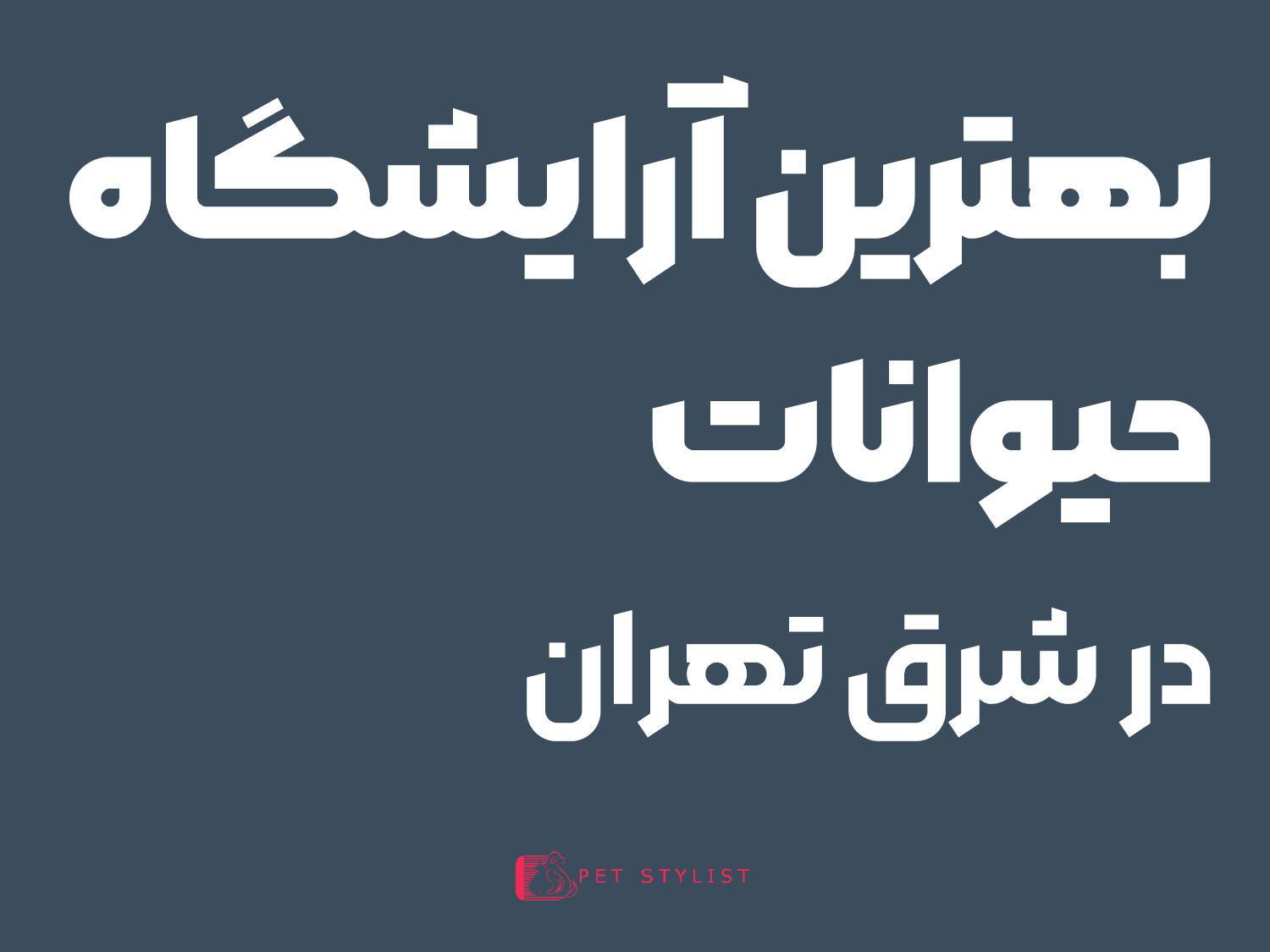 بهترین آرایشگاه سگ در شرق تهران